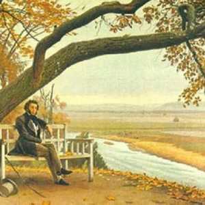 Основните мотиви на текстовете на Пушкин. Теми и мотиви на текстовете на Пушкин