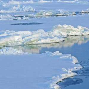 Основните разлики между Арктика и Антарктика: описание и особености