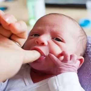 Основни рефлекси на новородени: описание, функции и списък