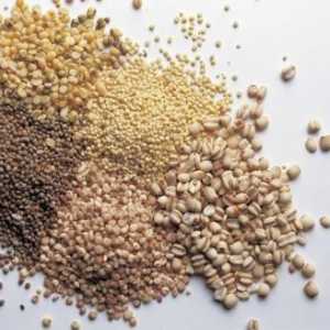 Основните видове зърнени култури: списък, снимка