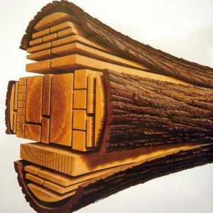 Основните видове дървен материал, характеристики, класификация и обхват