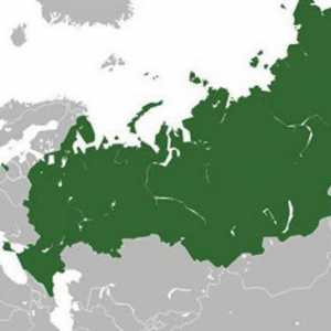 Характеристики на географското положение на. Географско положение на Русия, територия, област,…