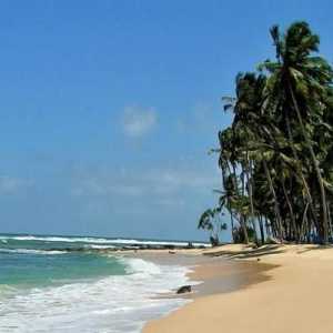 Шри Ланка: времето от месеци и климат. Описание на природата на острова и прегледите на туристите