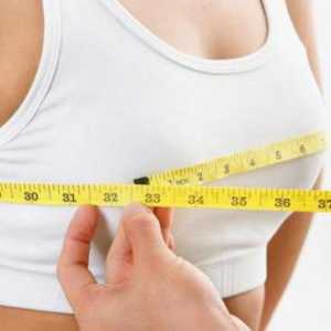 Какво определя размера на гърдата при жените?