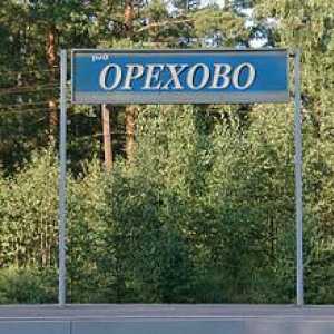 Почивка в Орехово (регион Ленинград)