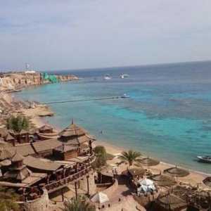 Хотел 4 * Sharm Cliff Resort (Египет / Шарм Ел-Шейх): преглед на туристите