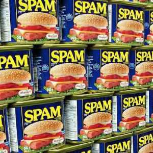 Откъде идва думата "спам"? произход