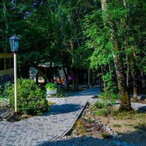 Страхотно място за почивка - Inal Bay: хостели, настаняване, цени