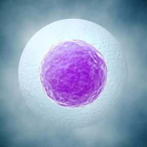 Отстраняване на феталното яйце в ранните етапи на бременността: причини, симптоми, последици