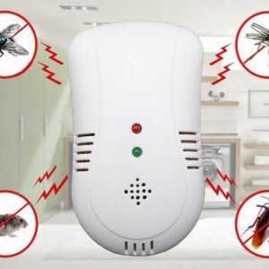 Отзиви: отблъскващи хлебарки. Методи за унищожаване на хлебарки в къщата