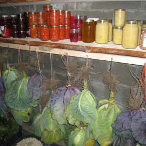 Съхранение на зеленчуци. Изграждане на парцел в страната
