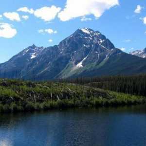 Езеро Атабаска: описание, флора и фауна, екологични проблеми