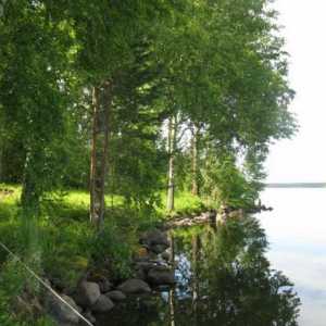 Езерото Gusinoye, квартал Priozersky - чудесно място за релакс