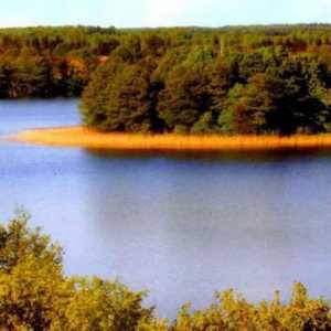 Езерото Krivoye: хидроложкият резерват в Беларус и градското селище в Украйна