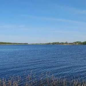 Езерото Orlinskoe: описание на язовира. Живопис и флора на езерото Орлински