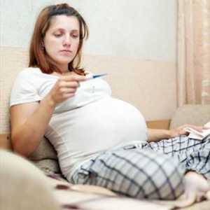 Охлаждане по време на бременност в ранните етапи. Какви лекарства могат да бъдат бременни?