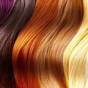 Палитра от цветове на боите за коса: характеристики на избор на тон