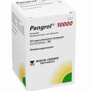 "Pangrol 10000": инструкции за деца, рецензии, аналози