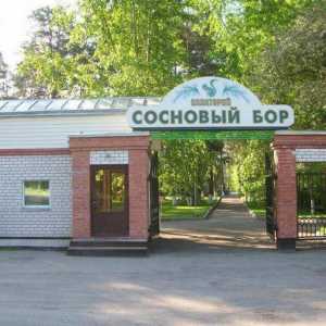 Пансион `Pine Forest` (Kostroma): как да стигнете там?