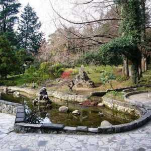 Парк `Arboretum`, Сочи: как да стигнем там? Описание на парка