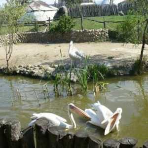 Парк `Sunny Island` (Краснодар): атракции, сафари парк, цени и адрес