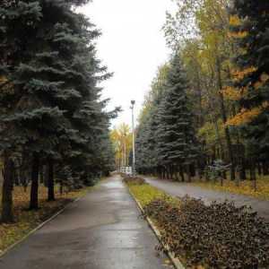 Парк `Vinnovsky Grove`, Уляновск: адрес, снимка, ревюта