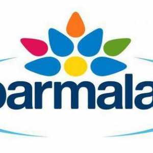 Parmalat - мляко с ниско съдържание на мляко