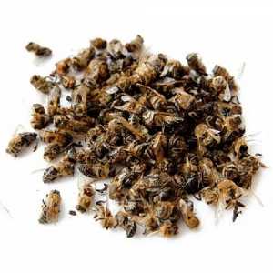 Помощ за пчелите - универсално лекарство за всички болести