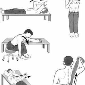 Периартрит на раменната кост: набор от упражнения Попова, лечебна гимнастика
