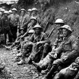 Първата световна война: накратко за главната