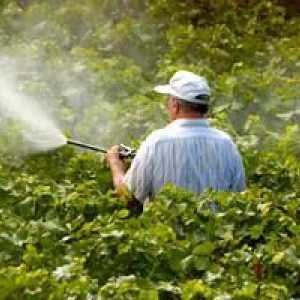 Пестицидите са вещества, които разрушават вредителите