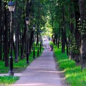 Парк Петровски и забележителностите му