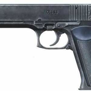 Pistol `Pernach`: описание, устройство