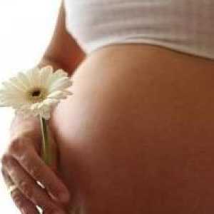Плацентата на предната стена на матката: извинение за възбуда или вариант на нормата?