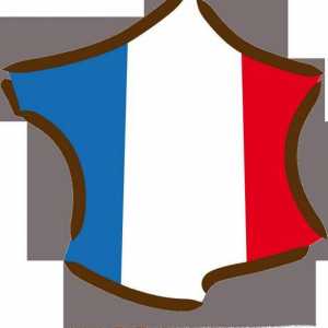 Описание на страната: Франция. Франция: историята на страната. Франция: паметници на културата