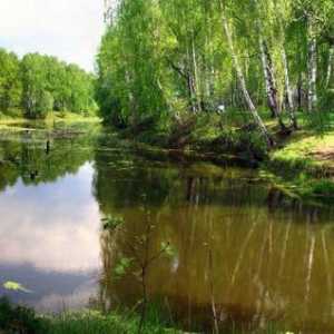 Платен риболов: Юсупово (област Домодедово)