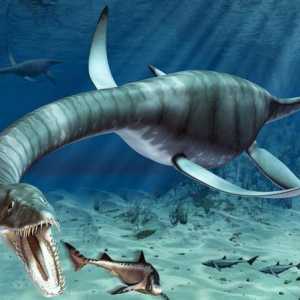 Плаващи динозаври: вид, описание, произход