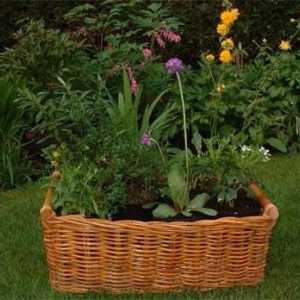 "Wicker" идеи за градината и градината: украсяваме парцела със собствените си ръце