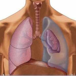 Pneumothorax lung: причини, симптоми и първа помощ