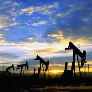 Защо цената на петрола пада? Световните цени на петрола