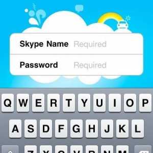 Защо Skype не вижда камерата: възможни проблеми и решения