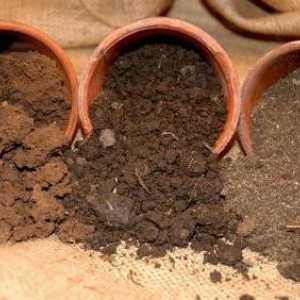 Почва почвен: свойства, предимства, недостатъци, растения