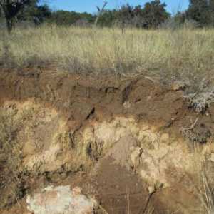 Почвени хоризонти - слоеве от почви, възникващи в процеса на образуване на почвата