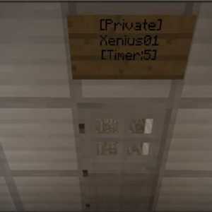 Подробности за това как да приватизирате врати в Minecraft