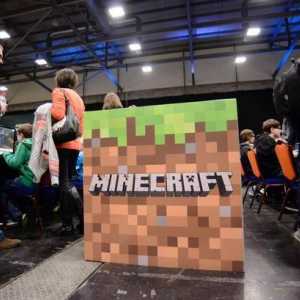 Подробности за това как да направите кариера в "Minecraft"
