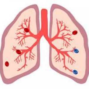 Подробности за органите, в които кръвта се насища с кислород