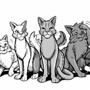 Подробен урок: как да нарисуваме котки-воини