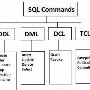 "Клопки" на DML команди Актуализиране на MySQL