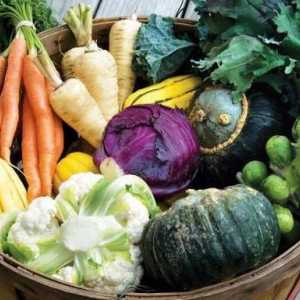 Podzimniy засяване на зеленчуци. Тайни и съвети за градинари, градинари и градинари