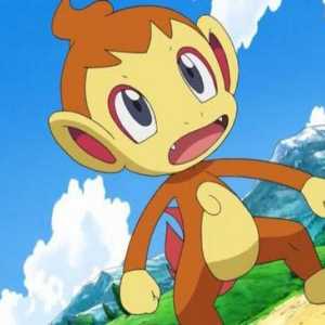 Pokemon Chimchar: цялата информация за домашния любимец